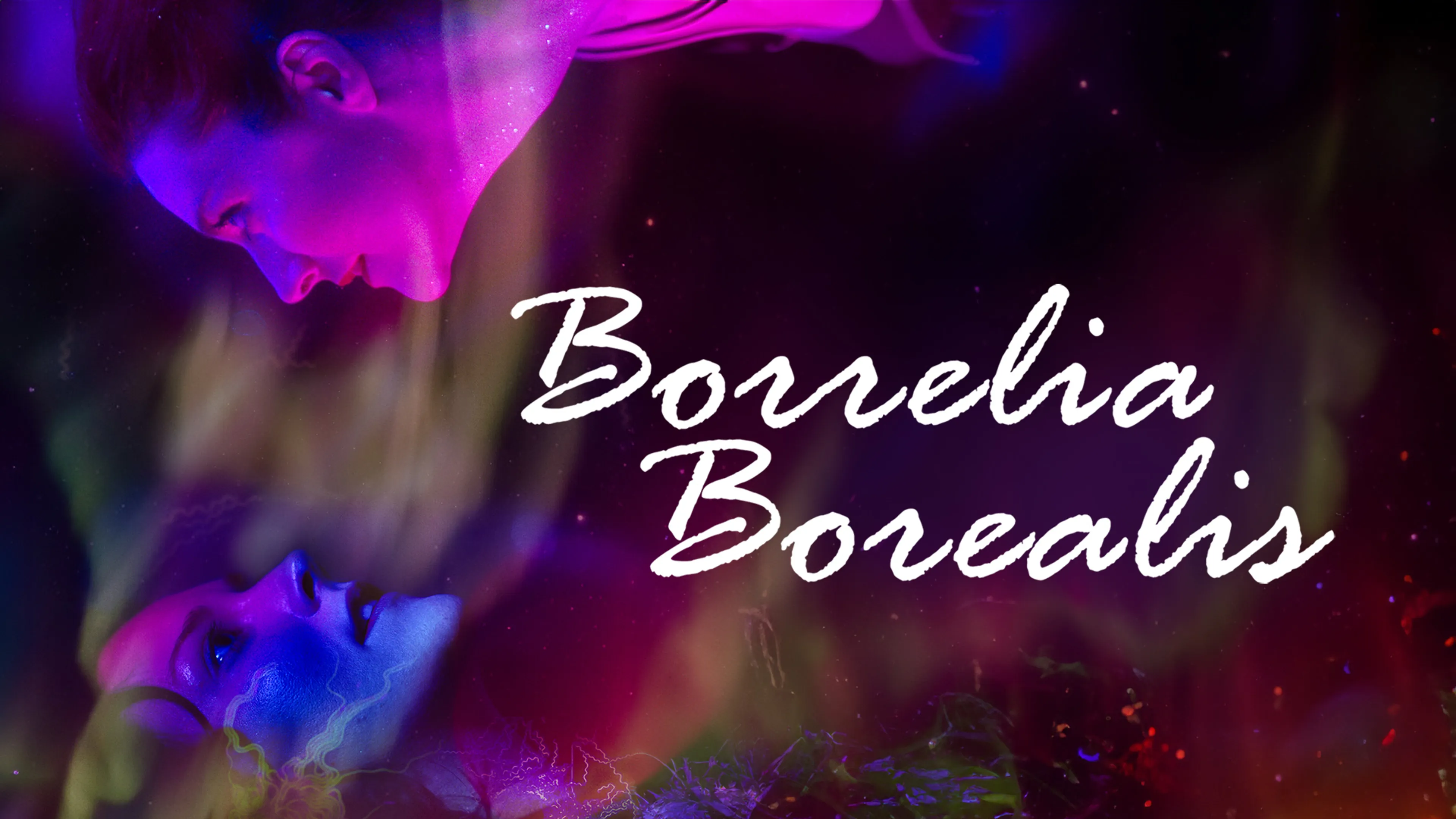 Borrelia Borealis poster